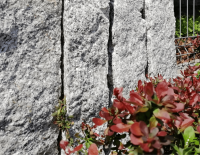 palisada granitowa łupana (6).png
