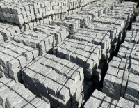 Kamien murowy, mauerstein (1).png