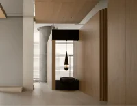 Light Wood (2).png