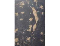 black slate gold (6).png