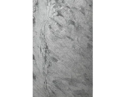 silver grey (2).png