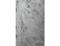 silver grey (2).png