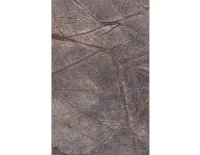 rainforest brown (2).png