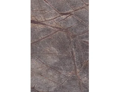 rainforest brown (2).png