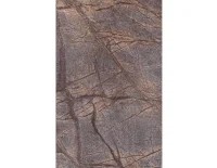 rainforest brown (3).png