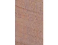 rainbow (3).png