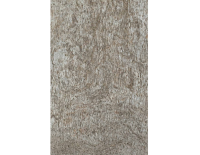 silver shine gold (3).png
