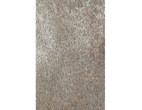 silver shine gold (5).png