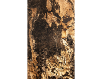 autumn rustic transparentny (3).png
