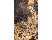autumn rustic transparentny (2).png