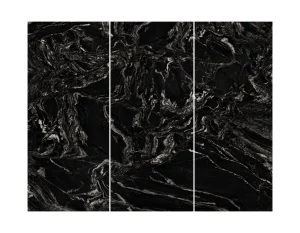 WPC-Platte Black Maize glänzend 280 × 112 × 0,8 cm