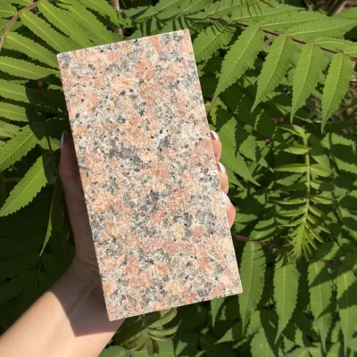 kostka cięta kamienna G562 20x10x5 granit  G562-Steinwürfel, geschnitten, 20 x 10 x 5, Granit.webp