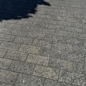 Gesägte Granit-Pflastersteine in Hellgrau Stone Grey (15x10x6 ) 