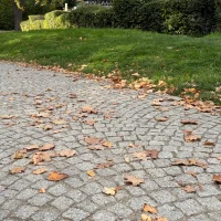 kostka granitowa łupana szara Strzegom graue, gespaltene Granitpflastersteine aus Strzegom (3).webp