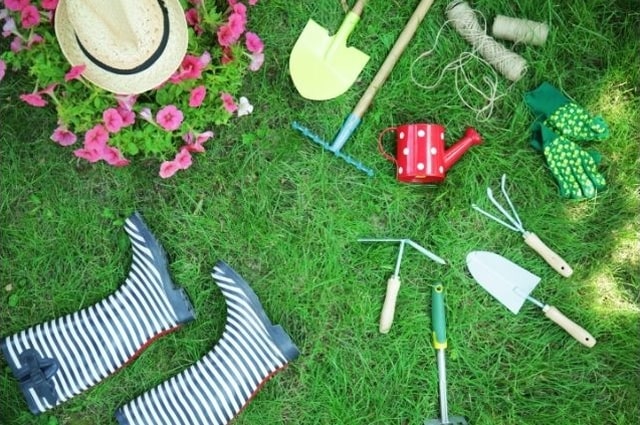 Wie gestaltet und pflegt man eine Blumenwiese im Garten?