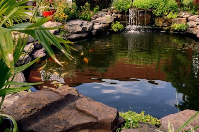Ideen für Steine im Garten: Teich, Steingarten und dekorativer Bodenbelag